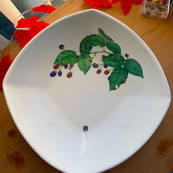HAEGER VTG serving bowl w/blueberry painting. Sweet blueberry on outside… - Picture 1 of 9